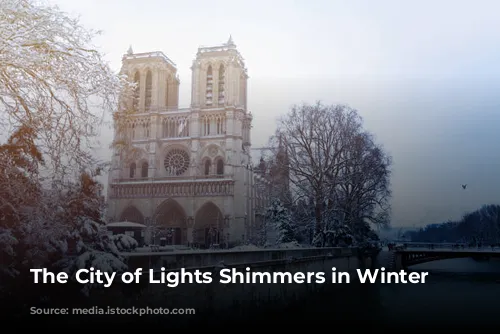 The City of Lights Shimmers in Winter