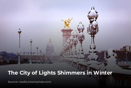 The City of Lights Shimmers in Winter