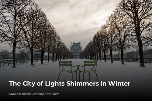 The City of Lights Shimmers in Winter