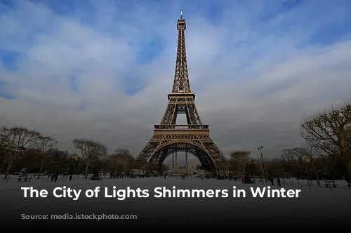 The City of Lights Shimmers in Winter