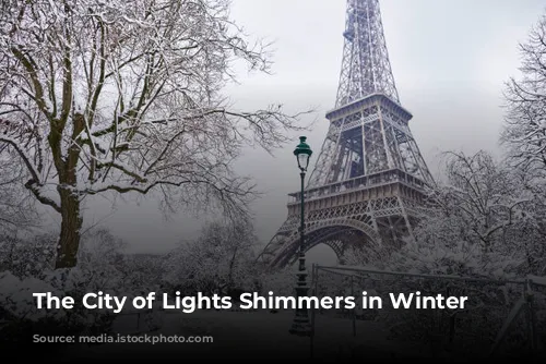 The City of Lights Shimmers in Winter