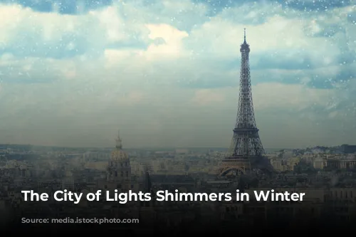 The City of Lights Shimmers in Winter