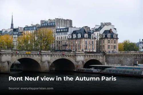 Pont Neuf view in the Autumn Paris 