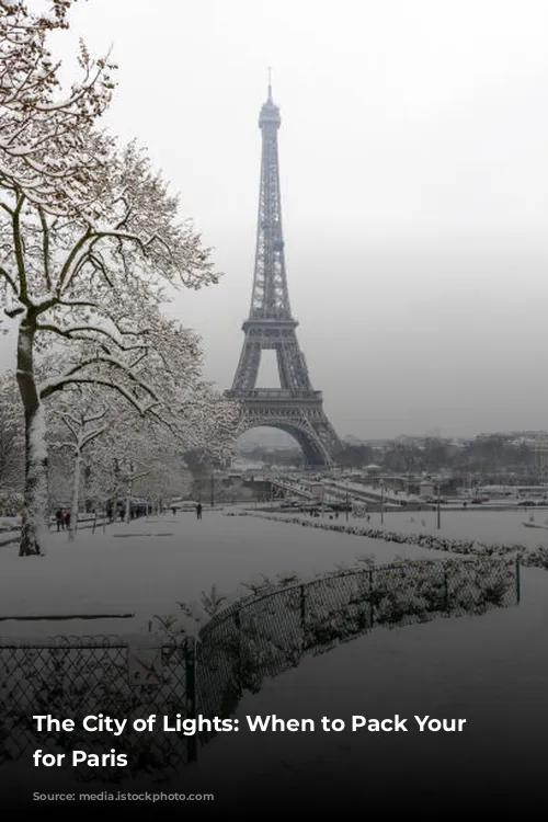 The City of Lights: When to Pack Your Bags for Paris