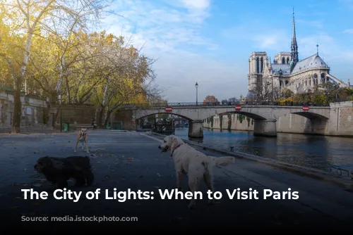 The City of Lights: When to Visit Paris