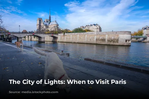 The City of Lights: When to Visit Paris