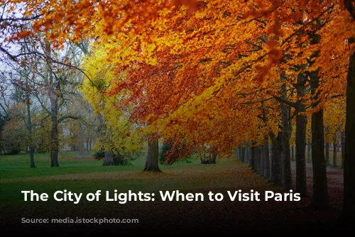 The City of Lights: When to Visit Paris