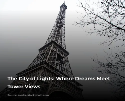 The City of Lights: Where Dreams Meet Eiffel Tower Views