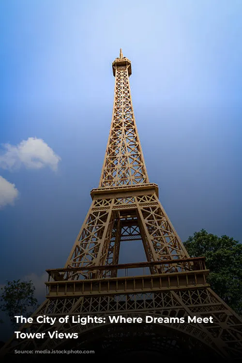 The City of Lights: Where Dreams Meet Eiffel Tower Views