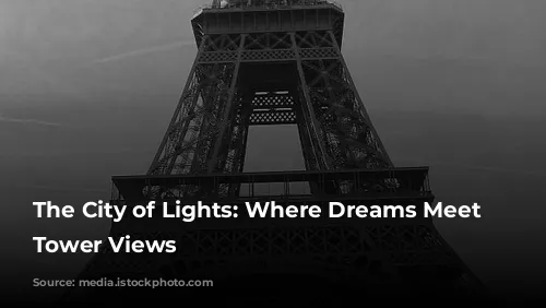 The City of Lights: Where Dreams Meet Eiffel Tower Views