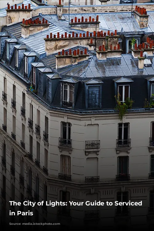 The City of Lights: Your Guide to Serviced Apartments in Paris