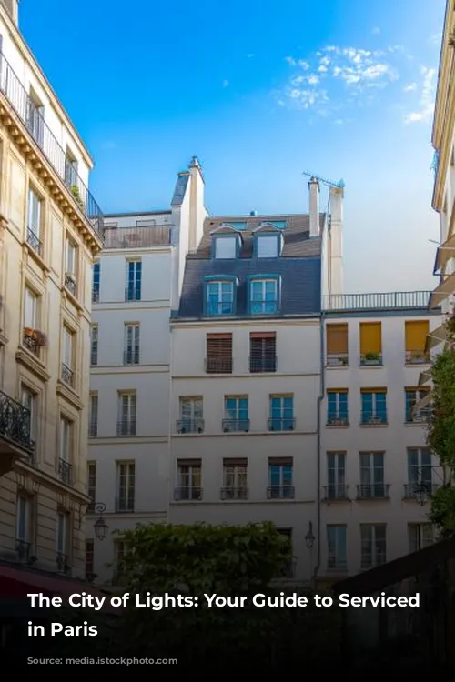 The City of Lights: Your Guide to Serviced Apartments in Paris