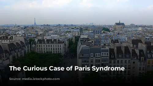 The Curious Case of Paris Syndrome