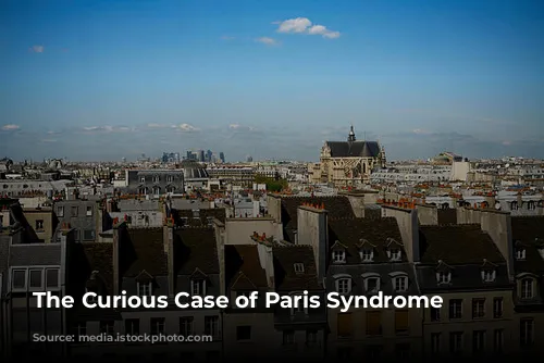 The Curious Case of Paris Syndrome