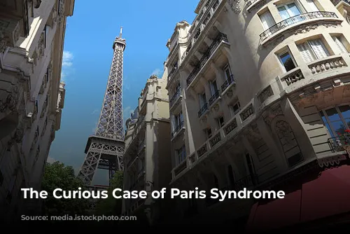 The Curious Case of Paris Syndrome