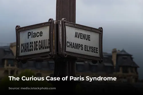 The Curious Case of Paris Syndrome