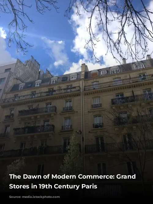 The Dawn of Modern Commerce: Grand Department Stores in 19th Century Paris