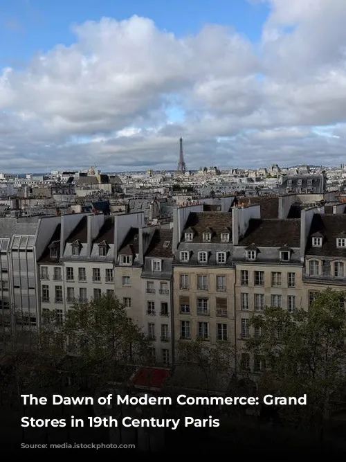 The Dawn of Modern Commerce: Grand Department Stores in 19th Century Paris