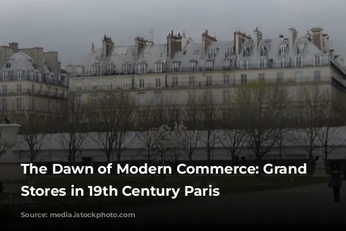 The Dawn of Modern Commerce: Grand Department Stores in 19th Century Paris