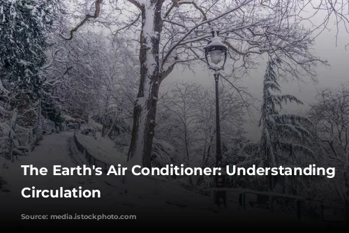 The Earth's Air Conditioner: Understanding Global Circulation