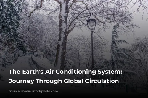 The Earth's Air Conditioning System: A Journey Through Global Circulation