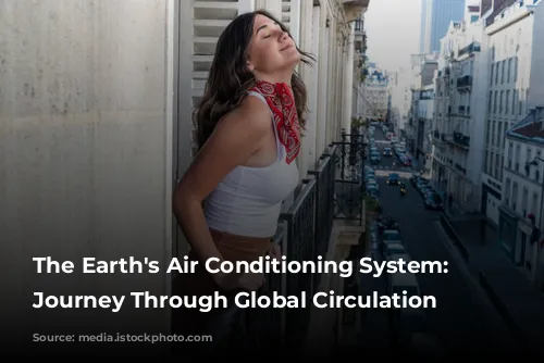 The Earth's Air Conditioning System: A Journey Through Global Circulation