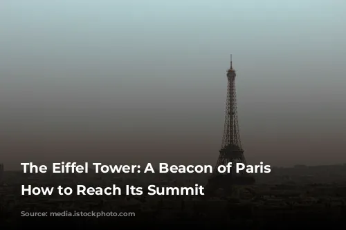 The Eiffel Tower: A Beacon of Paris and How to Reach Its Summit