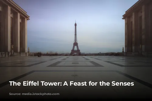 The Eiffel Tower: A Feast for the Senses