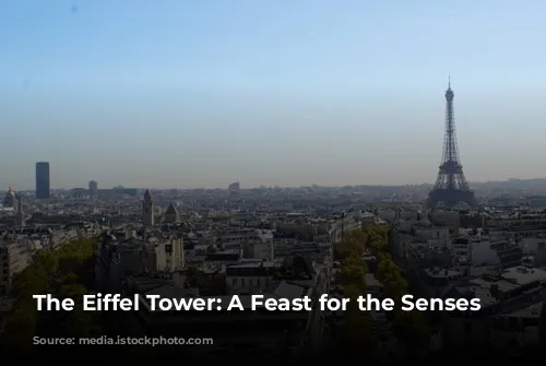 The Eiffel Tower: A Feast for the Senses