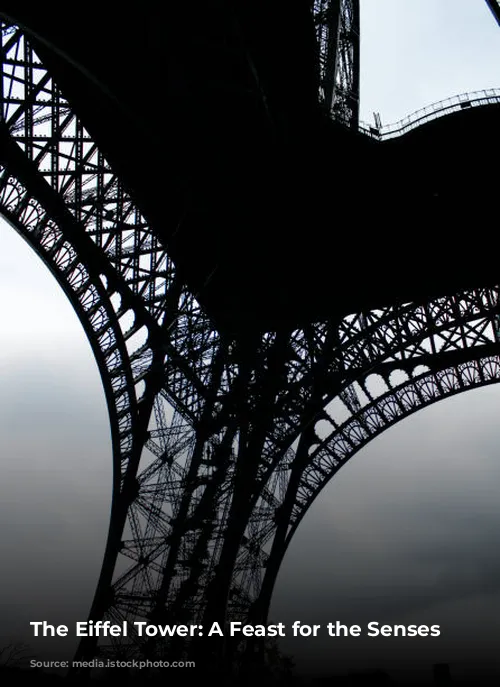 The Eiffel Tower: A Feast for the Senses