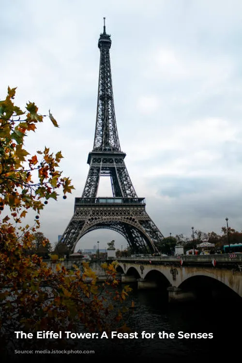 The Eiffel Tower: A Feast for the Senses