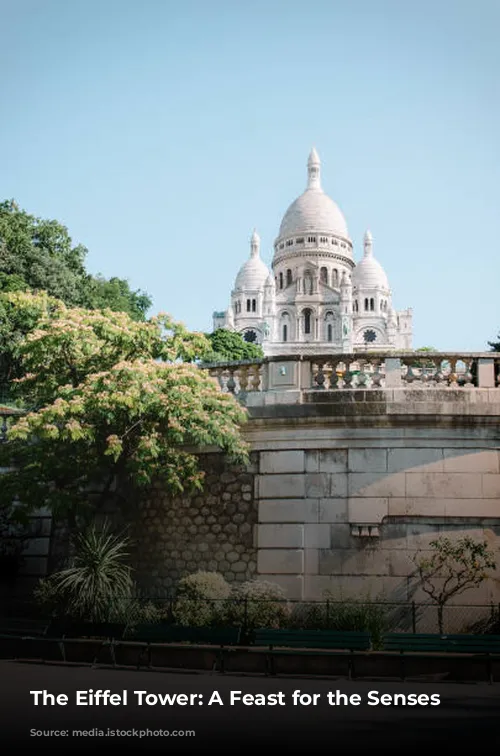 The Eiffel Tower: A Feast for the Senses