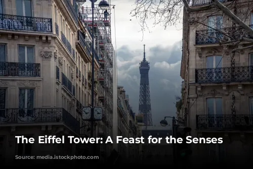 The Eiffel Tower: A Feast for the Senses