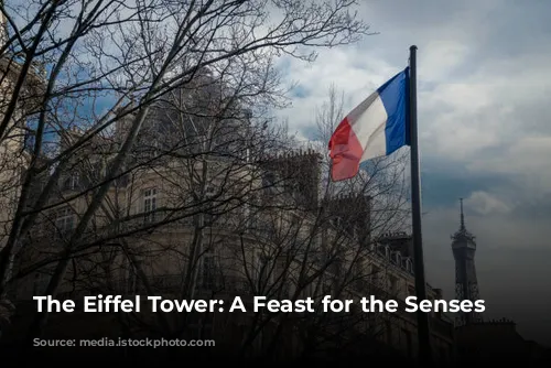 The Eiffel Tower: A Feast for the Senses