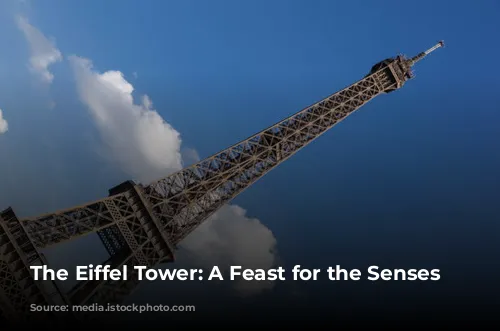 The Eiffel Tower: A Feast for the Senses