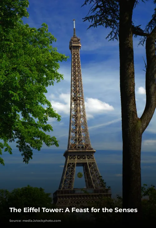 The Eiffel Tower: A Feast for the Senses