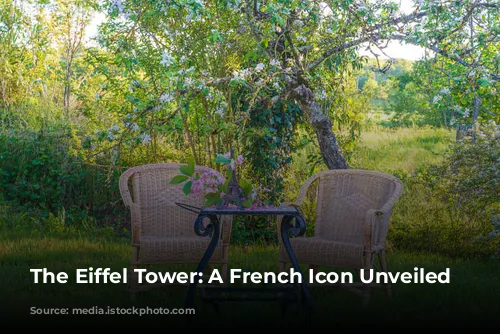 The Eiffel Tower:  A French Icon Unveiled