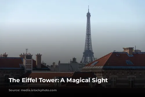 The Eiffel Tower: A Magical Sight