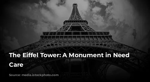 The Eiffel Tower: A Monument in Need of Care