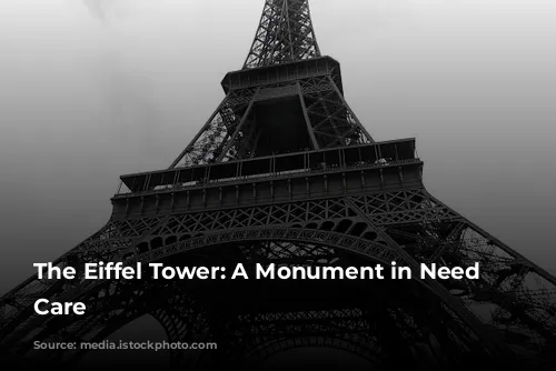 The Eiffel Tower: A Monument in Need of Care