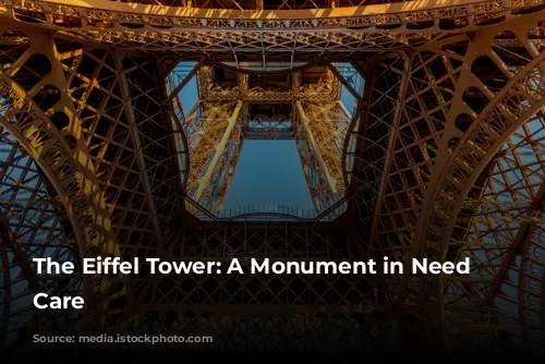 The Eiffel Tower: A Monument in Need of Care