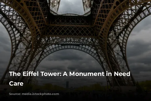 The Eiffel Tower: A Monument in Need of Care