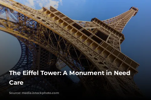 The Eiffel Tower: A Monument in Need of Care