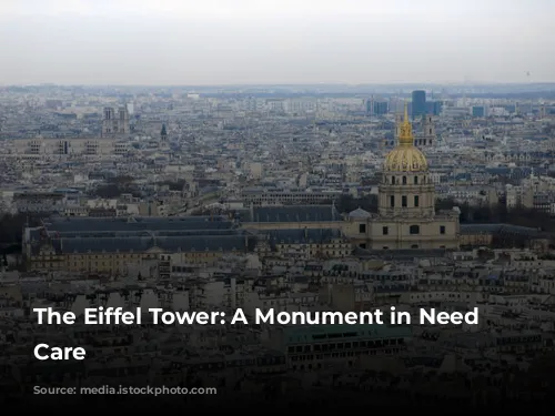 The Eiffel Tower: A Monument in Need of Care