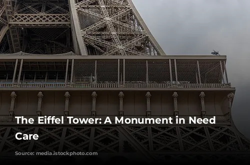 The Eiffel Tower: A Monument in Need of Care