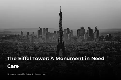 The Eiffel Tower: A Monument in Need of Care