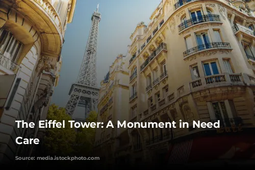 The Eiffel Tower: A Monument in Need of Care