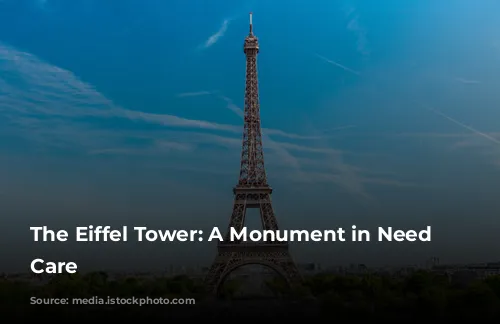 The Eiffel Tower: A Monument in Need of Care