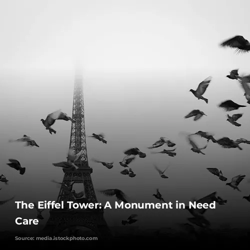 The Eiffel Tower: A Monument in Need of Care