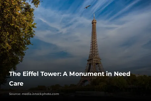 The Eiffel Tower: A Monument in Need of Care